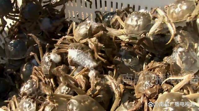 1663655908837914.jpg 4.jpg