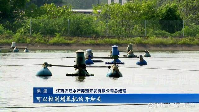 1663655917910552.jpg 5.jpg