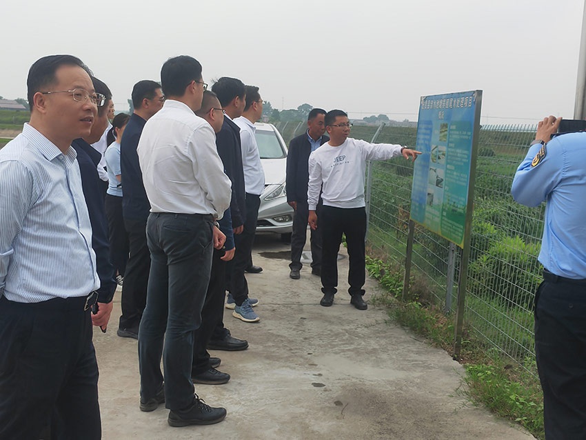 1684993512638935.jpg 3.jpg